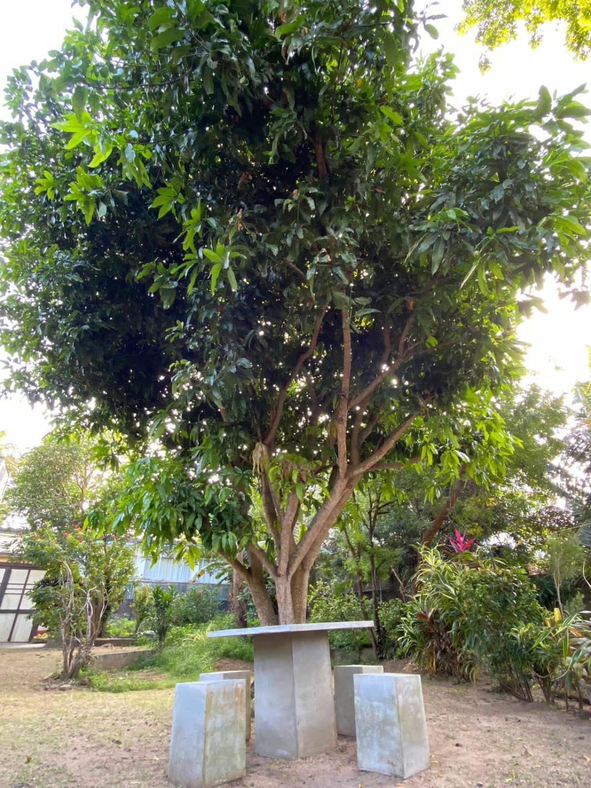 Sujatha Villa Paradise Tangalle Esterno foto